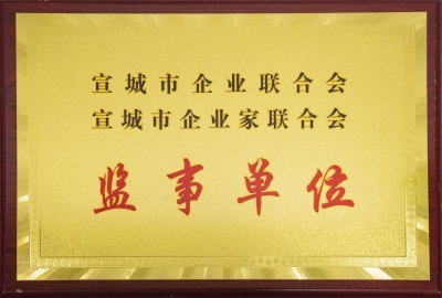 宣城市企業(yè)聯(lián)合會、聯(lián)合會監(jiān)事單位